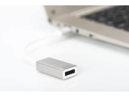 DIGITUS Câble adaptateur, DisplayPort - USB-C, blanc, 20 cm