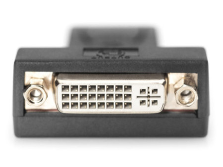 DIGITUS Adaptateur DisplayPort, DisplayPort - DVI-I (24-5)