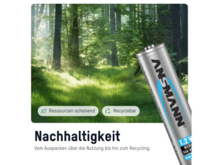 ANSMANN Pile rechargeable NiMH Premium, Micro AAA, 1.000 mAh