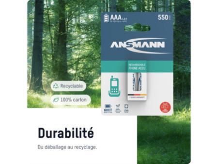 ANSMANN NiMH maxE DECT blue, Micro AAA, 800 mAh, blister 2