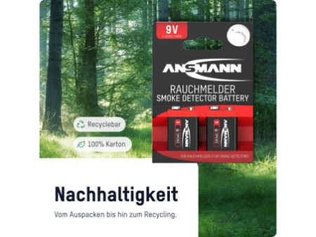 ANSMANN Pile alcaline, E-bloc 6LR61, 9 Volt, blister de 2
