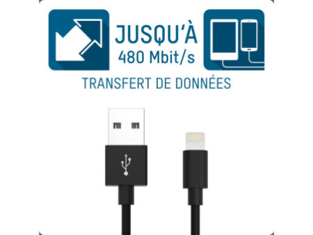 ANSMANN Câble de données & de charge, Apple-Lightning-USB-A