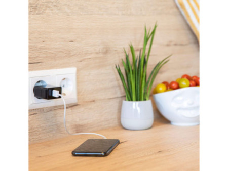 ANSMANN Chargeur USB Home Charger HC218PD, 2x port USB, noir