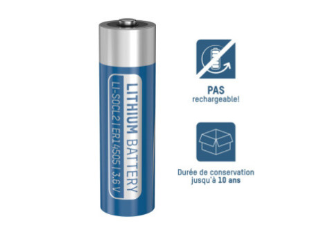 ANSMANN Pile lithium-chlorure de thionyle ER14505, Mignon AA