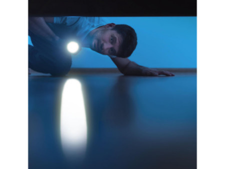 ANSMANN Lampe de poche LED, Daily Use 150B, argent/noir