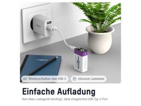 ANSMANN Pile Li-Ion E-Block avec prise USB-C femelle