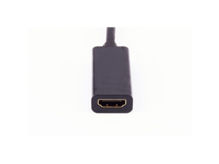 shiverpeaks BASIC-S Adaptateur 1.4, Mini DisplayPort - HDMI