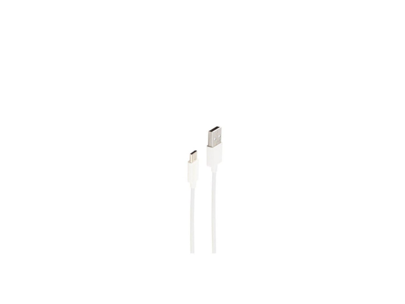 shiverpeaks Câble de données et de charge BASIC-S, 1,5 m