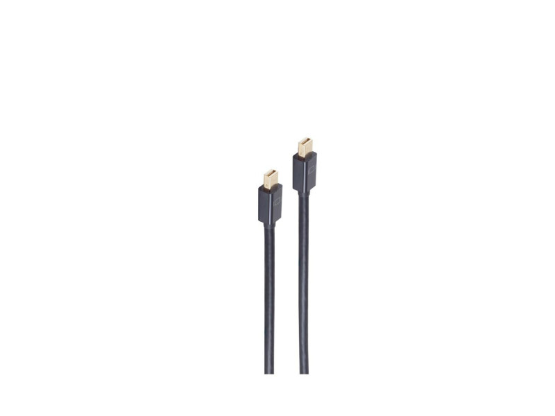 shiverpeaks BASIC-S Câble d'alimentation mini DisplayPort