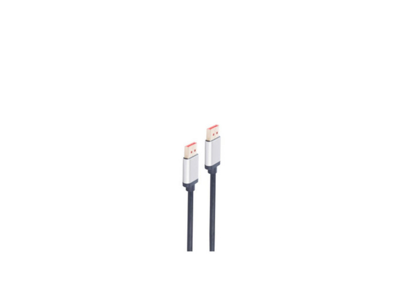 shiverpeaks Câble de raccordement DisplayPort, 1,5 m