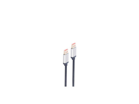 shiverpeaks Câble de raccordement DisplayPort, 2 m