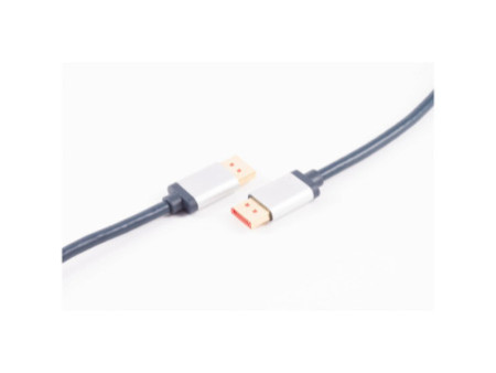 shiverpeaks Câble de raccordement DisplayPort, 2 m