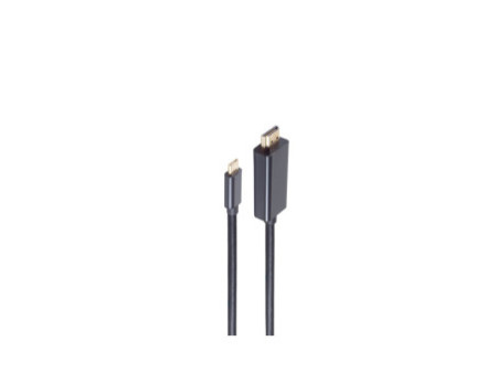 shiverpeaks Câble adaptateur BASIC-S, HDMI-A-USB 3.1/C, 1 m