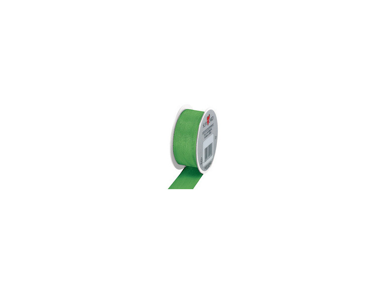 SUSY CARD Ruban cadeau, sur bobine 'Trend', vert clair