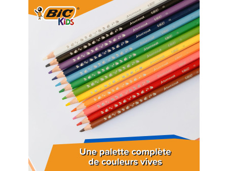 BIC KIDS Crayons de couleur aquarellables Aquacouleur, étui