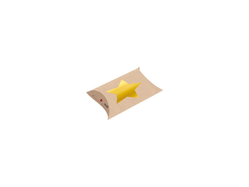 SUSY CARD Boîte cadeau de Noël 'Star'