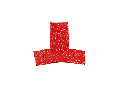 CACTUS Pochette cadeau de Noël 'Merry Christmas', 100x160 mm