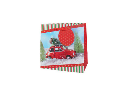 CACTUS Sac cadeau de Noël 'Petite voiture', petit