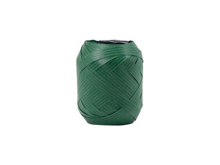 CACTUS Bolduc en pelote, papier d'emballage, 15 m , vert