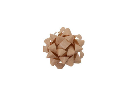 CACTUS Rosette pour paquet cadeau, 80 mm, assorti