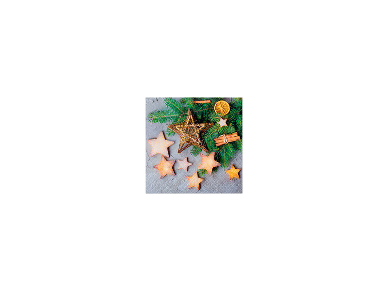 CACTUS Serviette à motif de Noël 'Étoiles'
