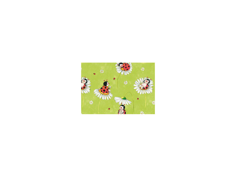 SUSY CARD Papier cadeau 'Le pays des arcs-en-ciel', rouleau