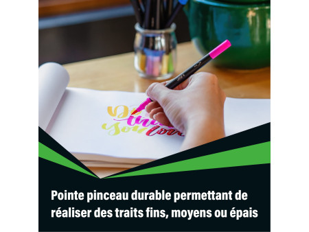 BIC Feutre DUAL BRUSH, 2en1, étui de 12, couleurs assorties