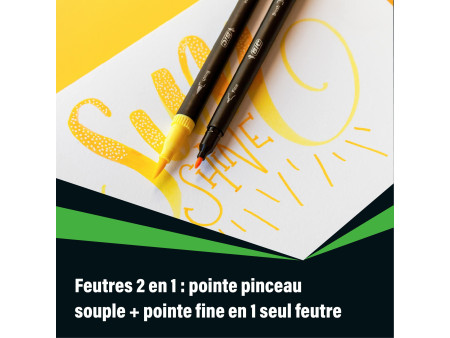 BIC Feutre DUAL BRUSH, 2en1, étui de 12, couleurs assorties