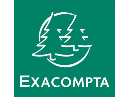 EXACOMPTA Peigne à relier Serodo, A4, 3 mm, transparent