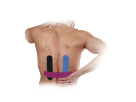HARO Bande de kinésiologie 'Dos', couleurs assorties
