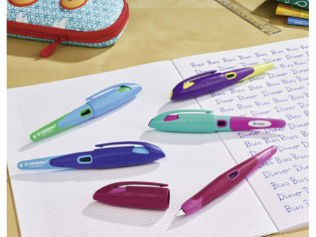 STABILO Stylo plume EASYbirdy R, droitiers, bleu/vert