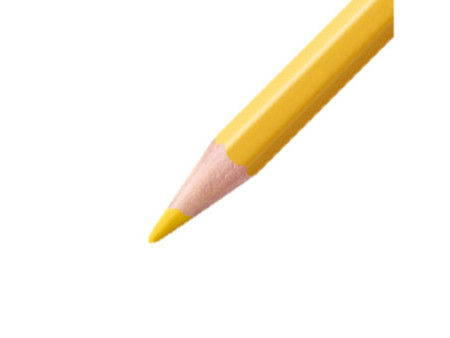 STABILO Crayon de couleur aquacolor 'ARTY', étui métallique