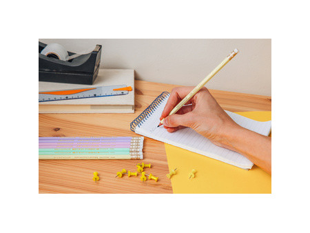 BIC Crayon de papier Evolution PASTEL, HB, assorti