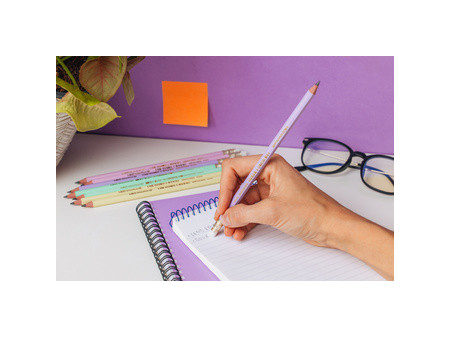 BIC Crayon de papier Evolution PASTEL, HB, assorti
