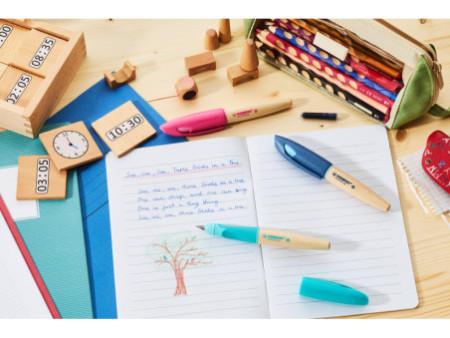 STABILO Stylo plume EASYbirdy Timber R, droitier, vert