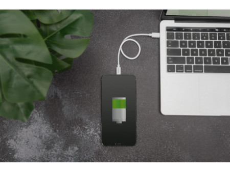 DIGITUS Câble de données/de charge, Lighting-USB-C, 1,0 m