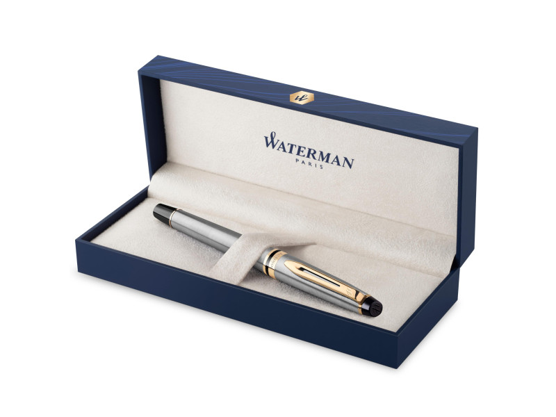 WATERMAN Stylo plume Expert, Metallic G.T.