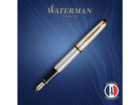 WATERMAN Stylo plume Expert, Metallic G.T.
