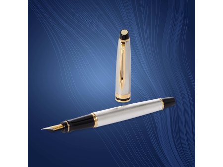 WATERMAN Stylo plume Expert, Metallic G.T.