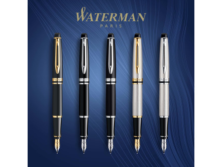 WATERMAN Stylo plume Expert, Metallic G.T.