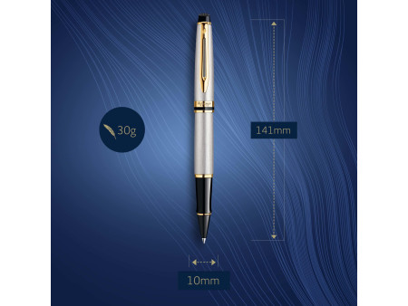 WATERMAN Stylo roller Expert, Métallique G.C.