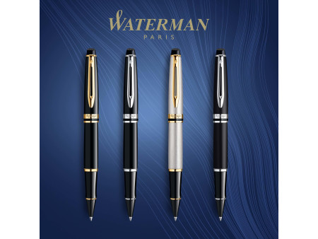 WATERMAN Stylo roller Expert, Métallique G.C.