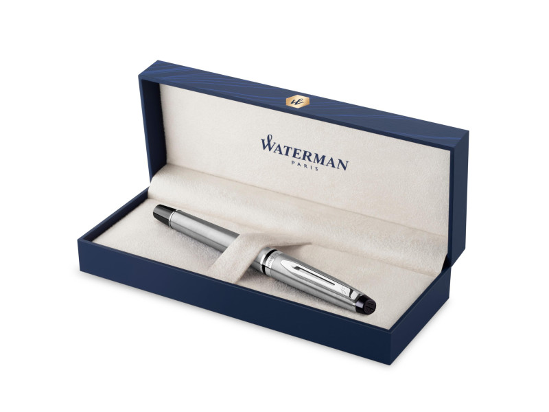 WATERMAN Stylo plume Expert, Metallic C.T.