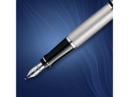 WATERMAN Stylo plume Expert, Metallic C.T.