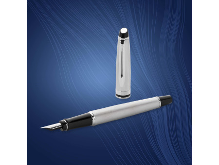 WATERMAN Stylo plume Expert, Metallic C.T.