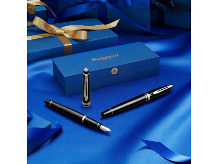 WATERMAN Stylo plume Expert, Metallic C.T.