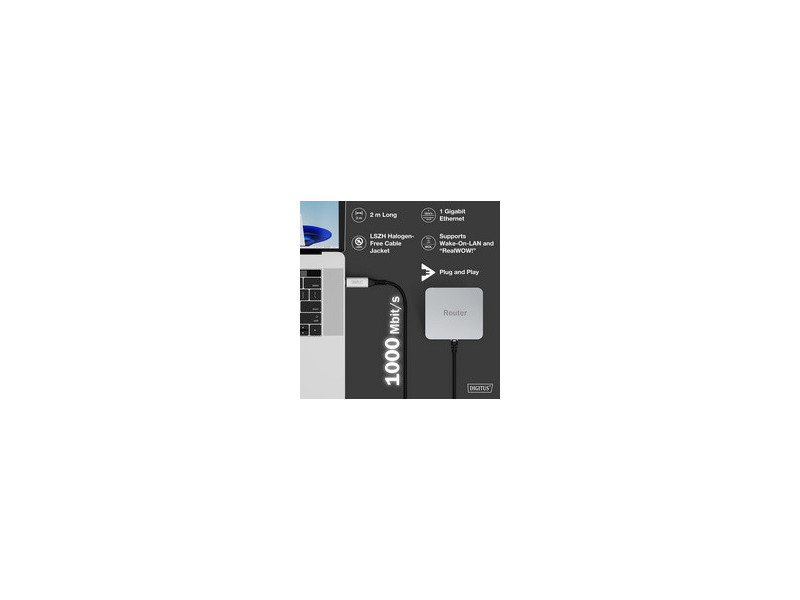 DIGITUS Câble Ethernet USB 3.2, USB-C - RJ45 mâle, 3 m