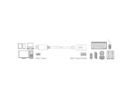 LogiLink Câble adaptateur USB 3.1, USB-C mâle- USB-A femelle