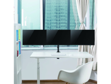 LogiLink Bras support pour écran TFT/LCD, 746 mm chacun