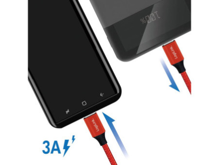 LogiLink Câble USB 2.0, USB-C - USB-C mâle, 1,0 m, rouge
